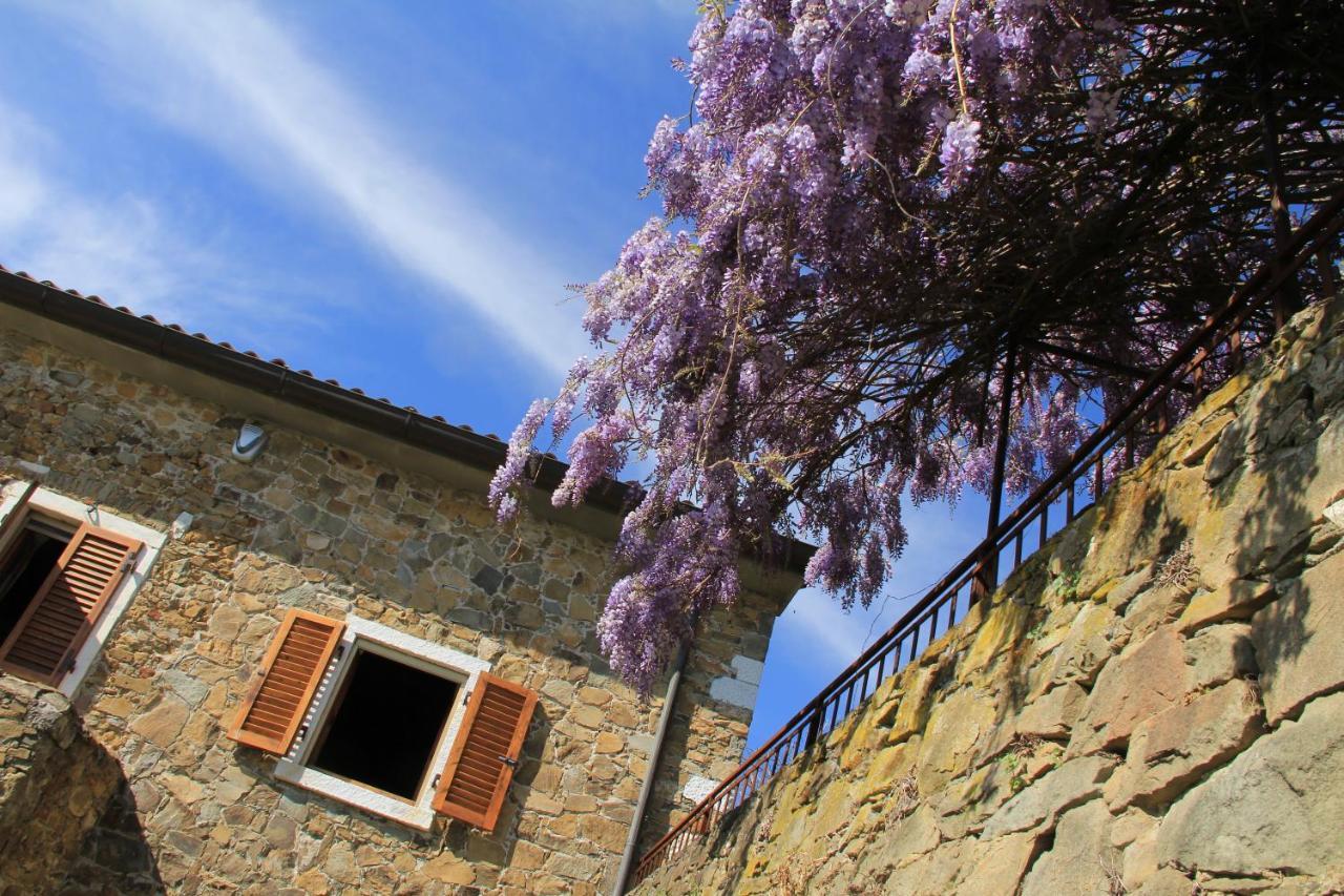 Convento La Perla Villa Carrara Bagian luar foto